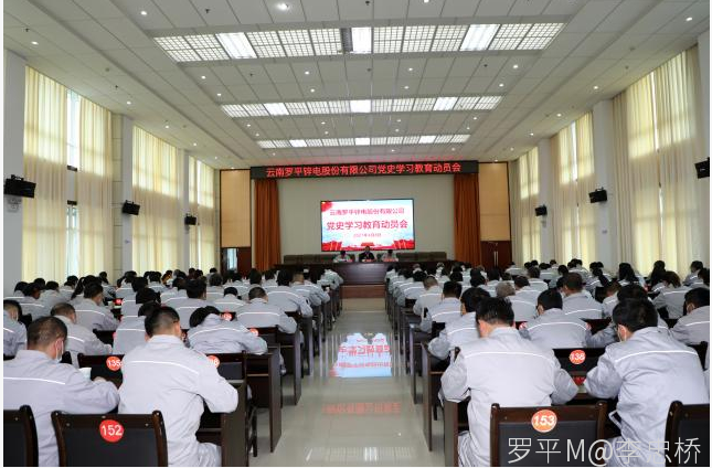 半岛(中国)一站式服务平台召开党史学习教育动员会